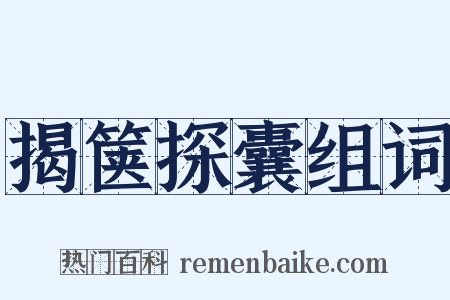揭箧探囊组词是什么意思的图片